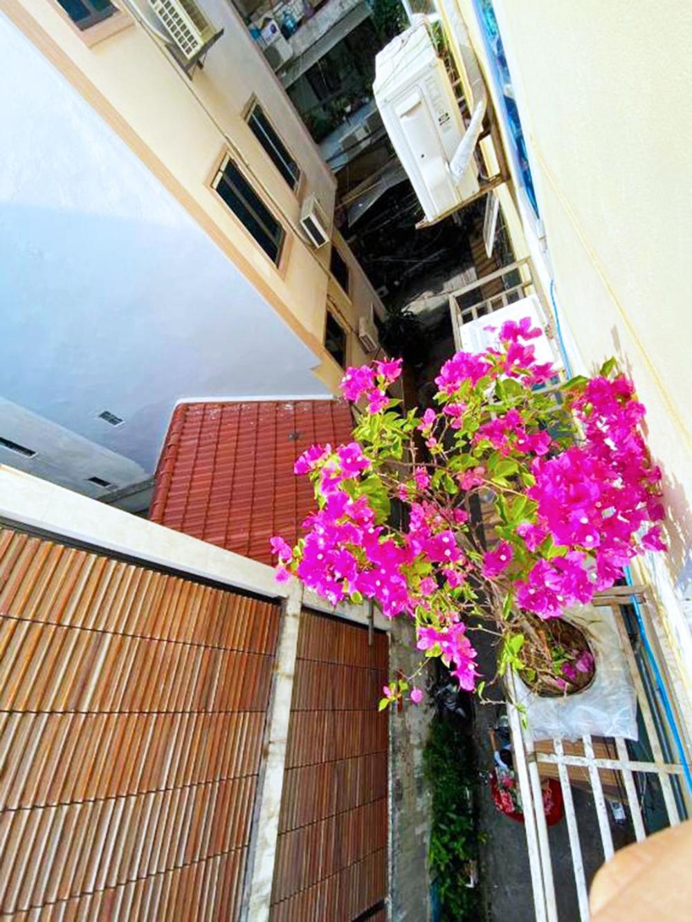 Mini Homestay Hanoi Exterior photo